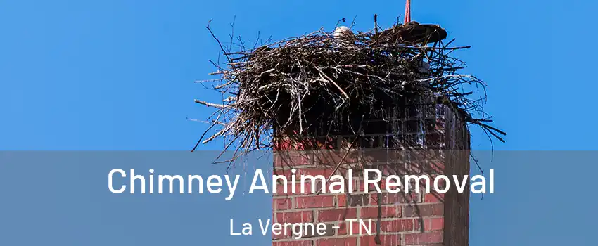 Chimney Animal Removal La Vergne - TN
