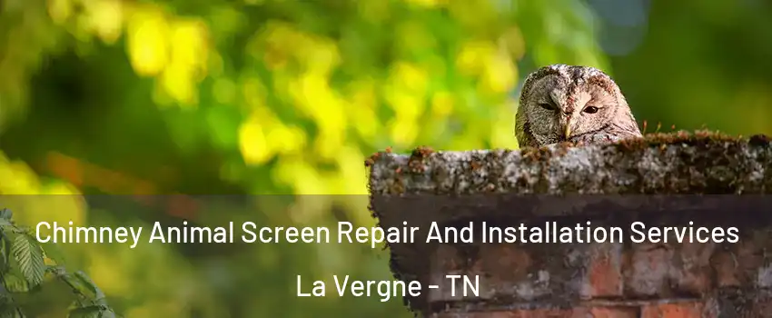  Chimney Animal Screen Repair And Installation Services La Vergne - TN