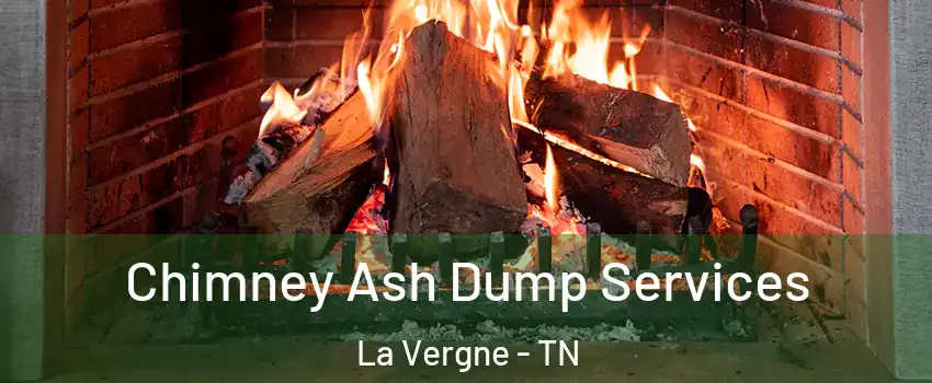  Chimney Ash Dump Services La Vergne - TN