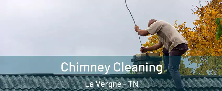  Chimney Cleaning La Vergne - TN