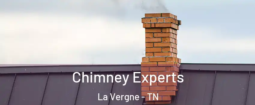 Chimney Experts La Vergne - TN