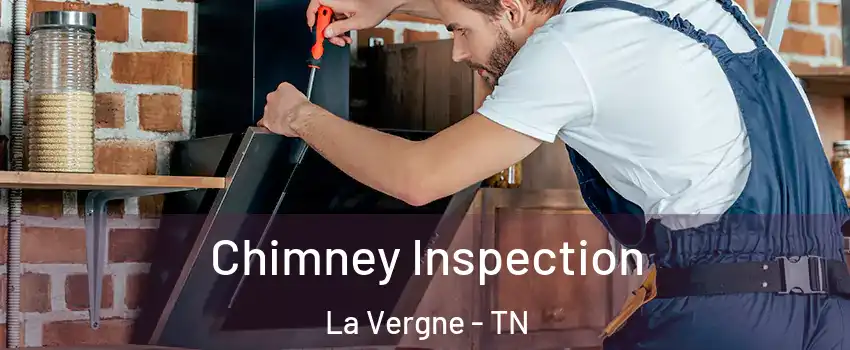  Chimney Inspection La Vergne - TN