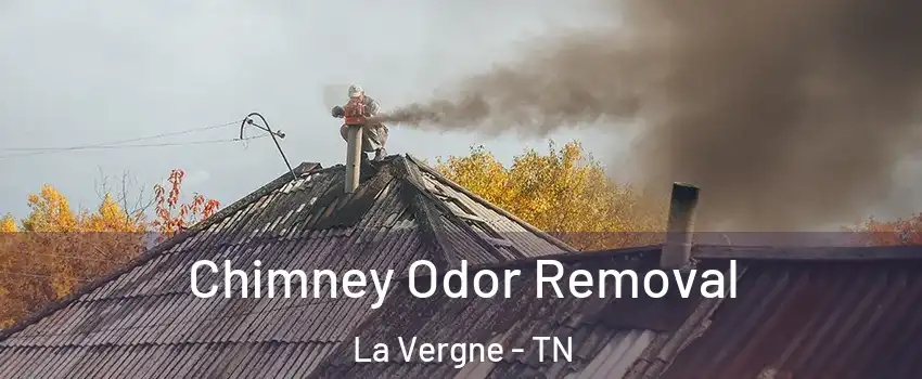 Chimney Odor Removal La Vergne - TN