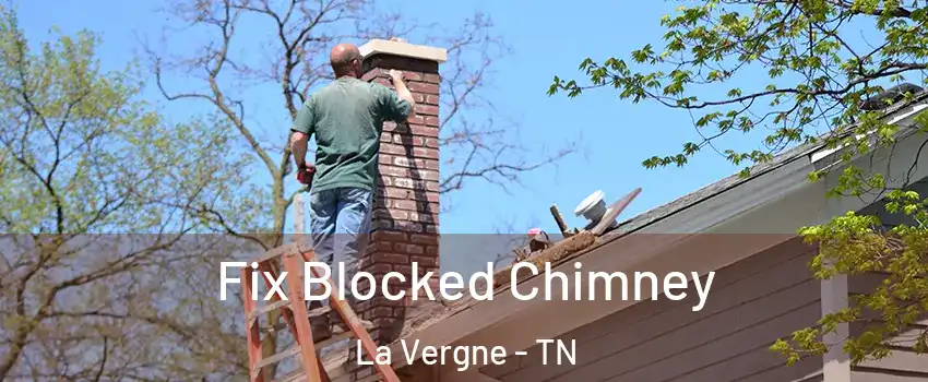  Fix Blocked Chimney La Vergne - TN
