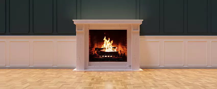 Napoleon Electric Fireplaces Inspection Service in La Vergne, Tennessee