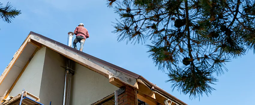 Birds Removal Contractors from Chimney in La Vergne, TN