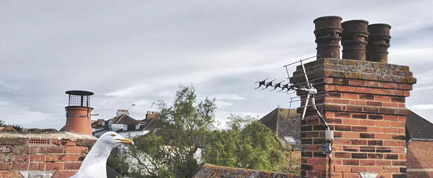 Chimney Cleaning And Restoration in La Vergne, Tennessee